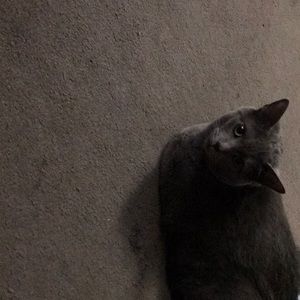 Meet your Posher, Paula